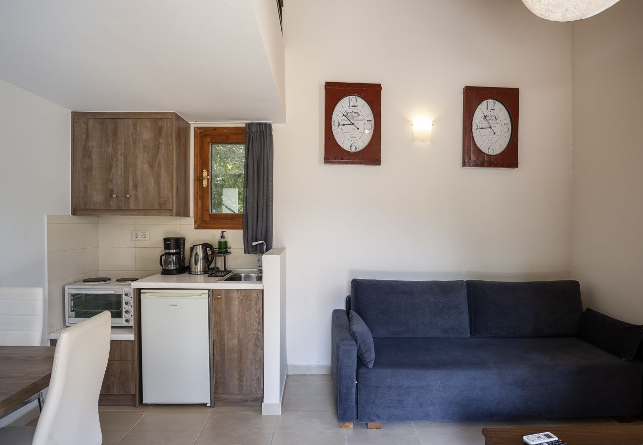 Villa in Xiron Chorion - Maratho Villa – mit privatem Pool