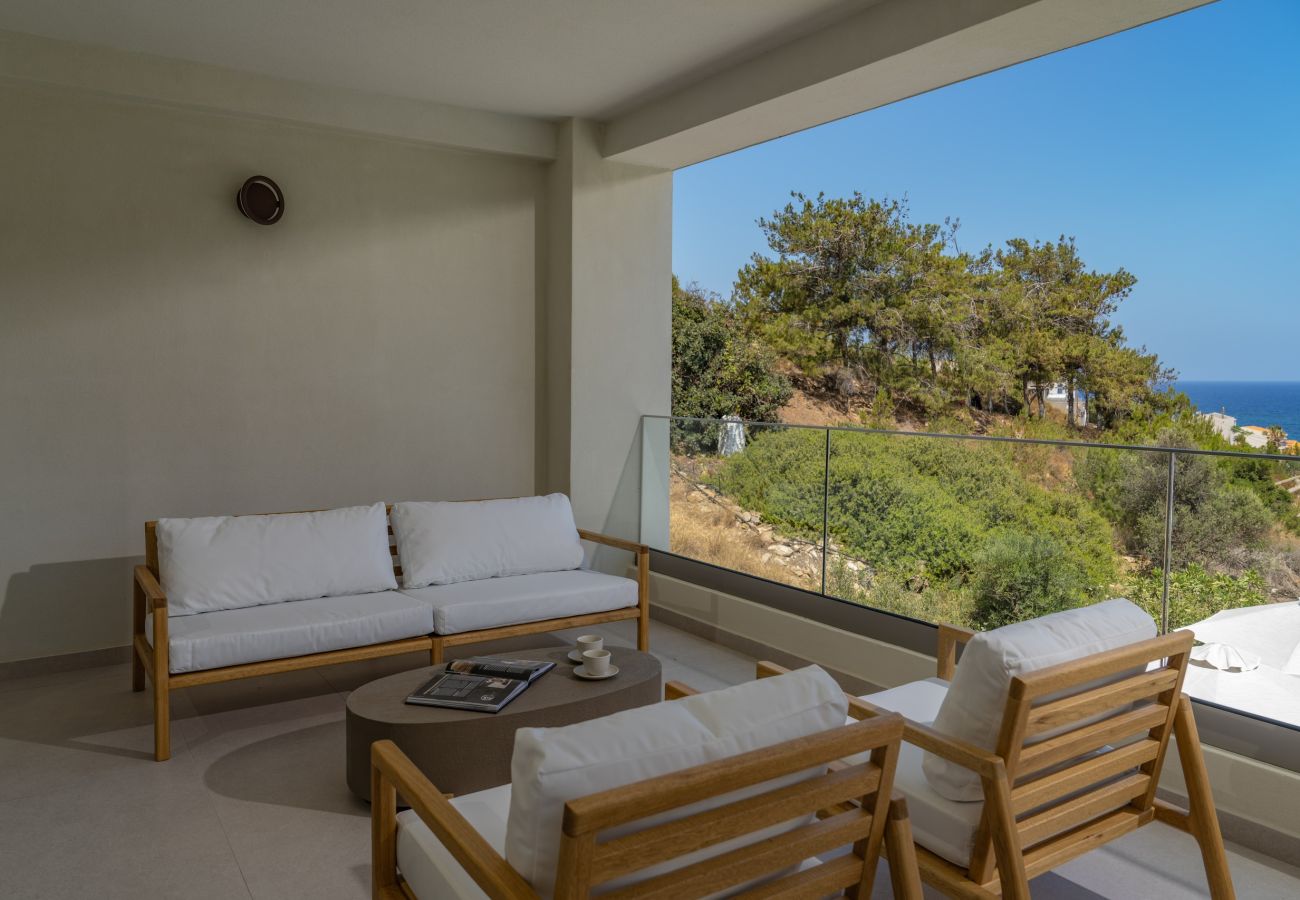 Villa in Panormo - Luxury Villa Selestine | With Private Pool 